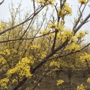 편백흙집세상 이미지