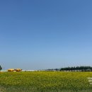 안성모자 | 4세 아이와 안성팜랜드 후기,입장료·주차·할인·추가 체험 비용 총정리