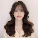 씨제이지 이미지