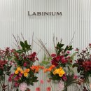 천호역10번출구앞 | 🏰 천호역 라비니움 견적 상담 | 당일 계약 후기🤍 | 계약 ○