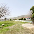 동부초등학교가배분교장 이미지