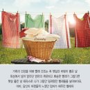 메종드테라 이미지
