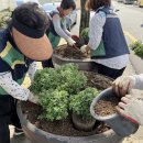 청도면행정복지센터 이미지