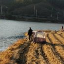 삼호농장3 이미지