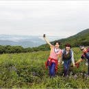곰배령 이미지