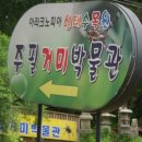 아라크노피아생태수목원 Daum카페