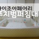 여우깍쟁이 이미지