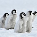 (주)오고코리아 이미지