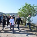 우포늪생명길 이미지