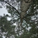 청량학동길 이미지