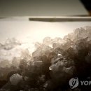 선원민박 이미지