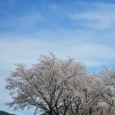 병곡보건지소 네이버블로그