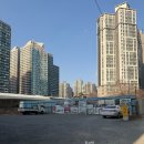 안녕 고양이 | 대구소파 매장 사람도 고양이도 만족한 고양이소파 선택 후기