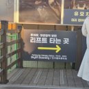 평화대공원 | 과천 서울대공원 스카이리프트 3회권 구매후기, 최적 코스 추천