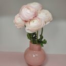 플로르 스토어 | 플로르엣몰(온라인꽃집)2026년 월별 실행계획 세우기