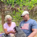 뽀시래기 이미지