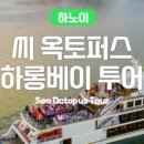 크루즈，cafe&sea