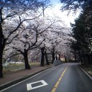 우암산순환로 이미지