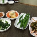 넝쿨다방 이미지