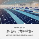 더블루스위밍풀 이미지