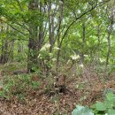 뒷동산농원 이미지