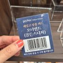 홍대 해리포터+신비한 동물사전 팝업스토어 [마호도코로]