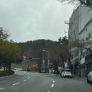 숲속공원놀이터 | 사상 숲속 반려동물 놀이터 다녀온 후기