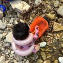 대산마을 이미지