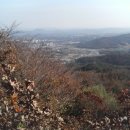 용봉산쉼터식당 이미지