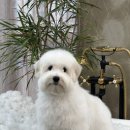 세실빌딩 (세실프라자) 이미지