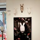 아르건축사사무소 이미지