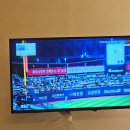 전인병원 | 출산일기 ] 수원 세인트마리 여성병원 선택제왕절개 출산 및 5박 6일 입원 후기