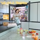 MAX | LG 디오스 오브제컬렉션 Fit&amp;Max 냉장고 실사용 생생 후기