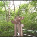 고잔역_신도시방향 이미지