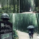 추성주유소 Daum카페