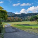 에스엔에스 스크린골프 이미지