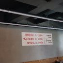 뚱땡이쭈꾸미 이미지