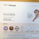 pet106무1364 | 펫 반려동물 전용 도배지 현대 펫월 과 LX 디아망 벽지 샘플 테스트