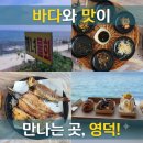 영덕물회집 | 영덕 여행후기! 영덕해녀물회&생선구이 오딘 카페 🚗💨