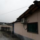 수동초등학교 이미지