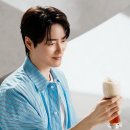 Angelinus insta 이미지