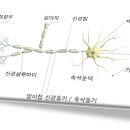 소리청한의원 이미지