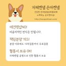 은아 펫 타운 이미지