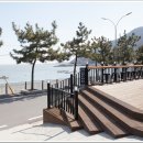카페이루소(IRUSO) 네이버블로그