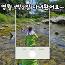 초2 아이도 좋아한 영월 1박2일 여행코스 추천! 아이와 함께 다녀온 영월 가볼 만한 곳 총정리