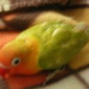 (주)애사랑 이미지