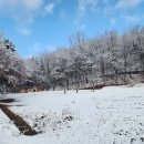 25년12월14일(일) 들깨 가루내기 및 기름짜기 등 이미지