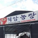 덕암농장 이미지