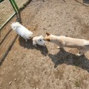 토리두두 이미지