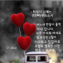 상길 Daum카페